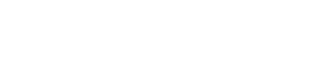 Aurora-Insights logotype blanc