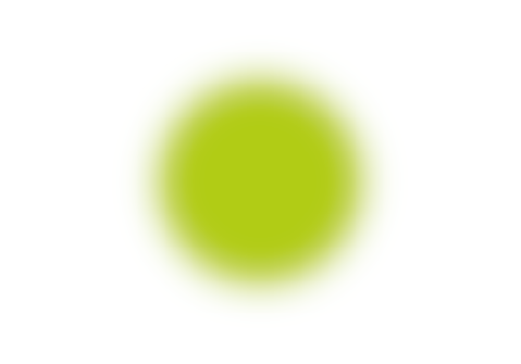 AuroraInsights-cercle